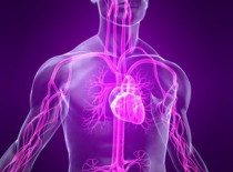 ВСД и остеохондроз