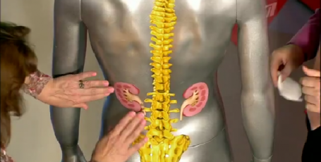 Причины боли в пояснице